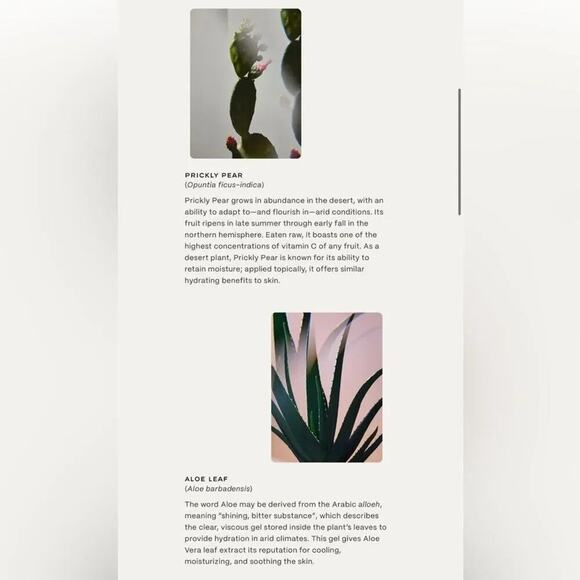 Twentynine Palms Mira Luna Eye Cream Full Size Vegan Cruelty Free New in Box - Picture 3 of 5